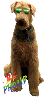 cool Airedale Terrier